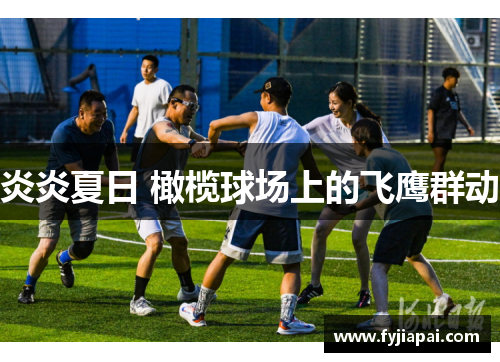 炎炎夏日 橄榄球场上的飞鹰群动