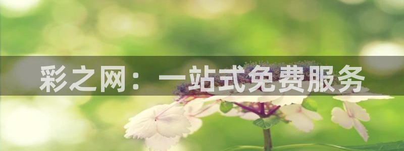 乐天堂fun88：彩之网：一站式免费服务