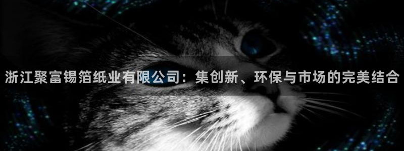 乐天天堂fun88：浙江聚富锡箔纸业有限公司：集创新、环保与市场的完美结合
