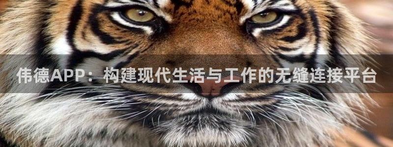 乐天堂fun88备用网址：伟德APP：构建现代生活与工作的无缝连接平台