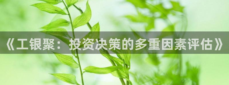 乐天天堂fun88：《工银聚：投资决策的多重因素评估》